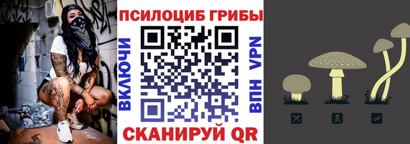 Псилоцибиновые грибы MAGIC MUSHROOMS купить закладку Михайлов